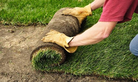 Jonas-Lawn-Care