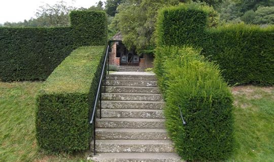 hedging-trimming