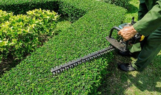 kildare-hedge-trimming