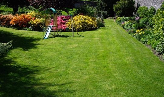 ornamental-beds-lawn