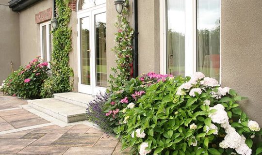 ornamental-planting